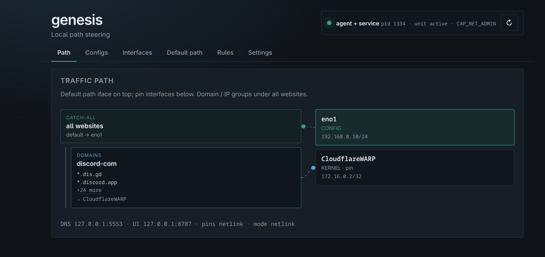 Genesis Web UI — traffic path view with the catch-all interface and a pinned domain group