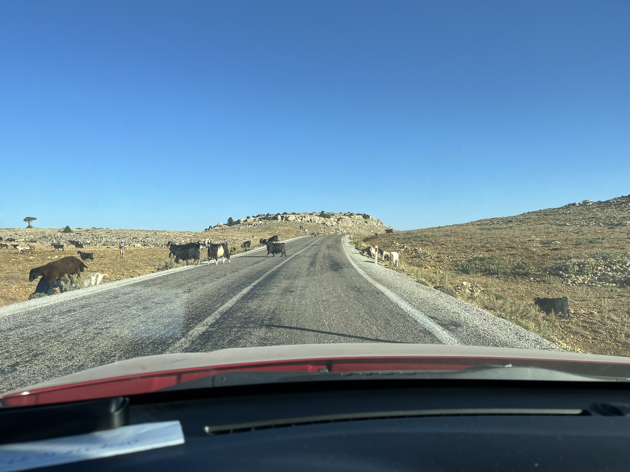Erdemli - Ayrancı Yolu, 16 August 2025